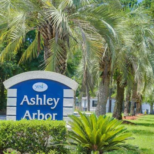Ashley Arbor I