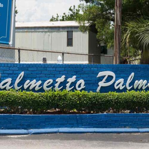 Palmetto Palms