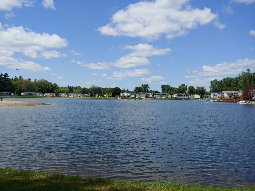 Pinewood on the Lake