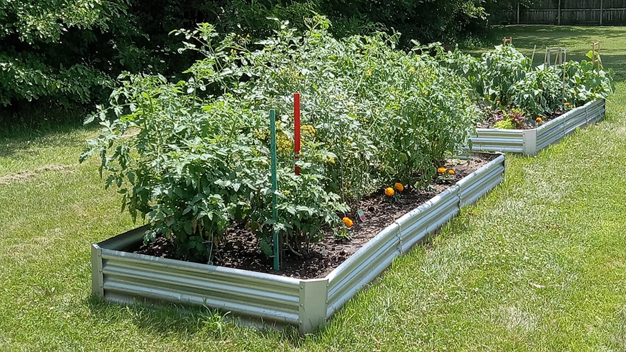 Reynolds Senior Village