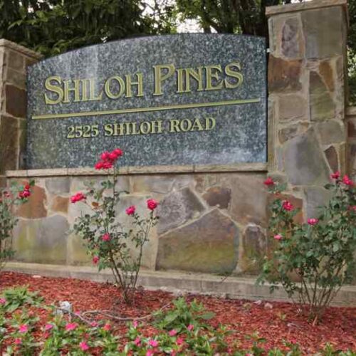 Shiloh Pines