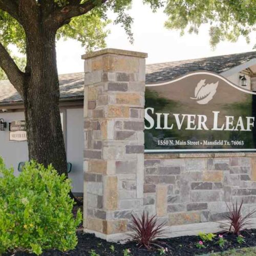 Silver Leaf