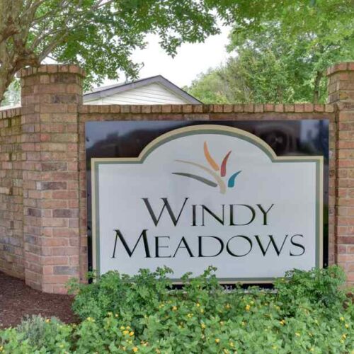 Windy Meadows