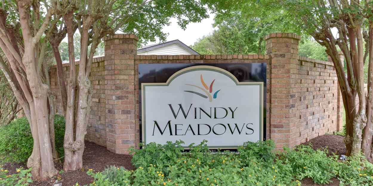 Windy Meadows